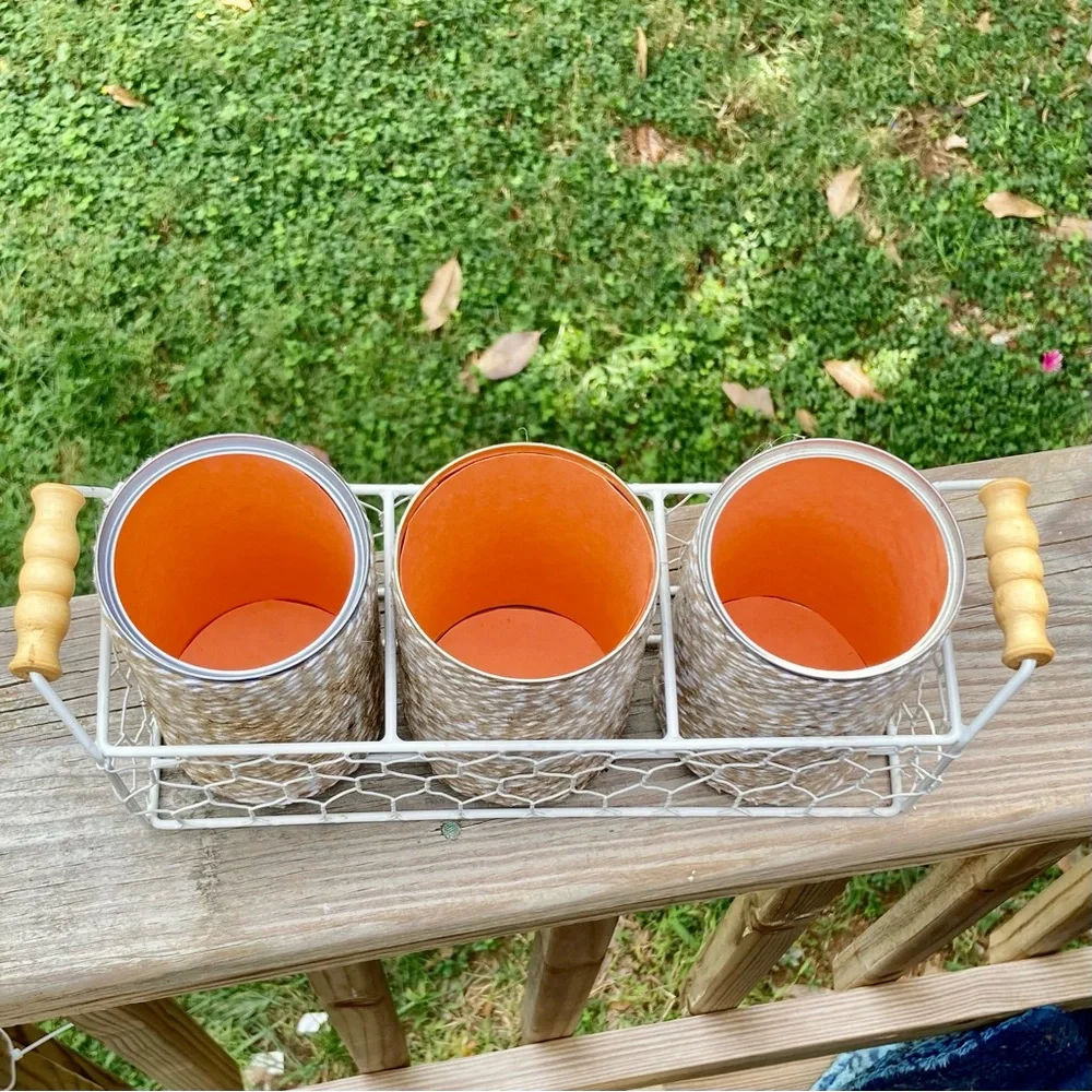 Farmhouse Shabby Chic Chicken Wire Basket Caddy Server 3 Twine Wrapped Cans